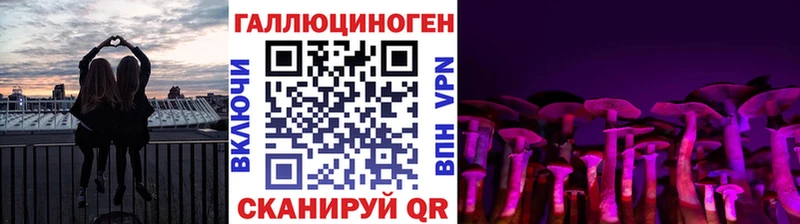 Галлюциногенные грибы мухоморы  mega ТОР  Хасавюрт  где купить наркоту 